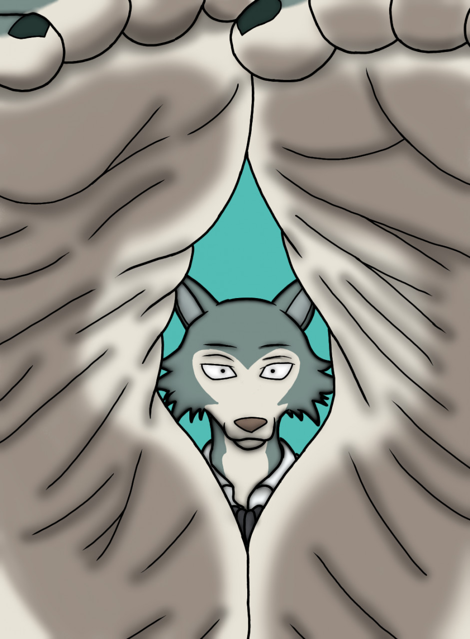 Legosi Feet Blank Meme Template