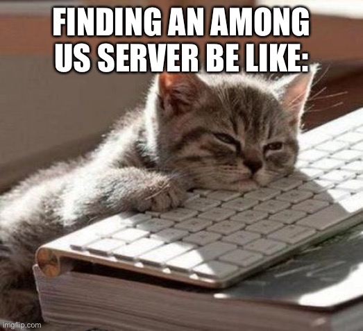 I Can Never Find A Server… | FINDING AN AMONG US SERVER BE LIKE: | image tagged in tired cat | made w/ Imgflip meme maker