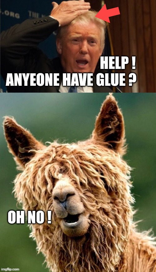 Donald Trump | HELP ! ANYEONE HAVE GLUE ? OH NO ! | image tagged in donald trump | made w/ Imgflip meme maker