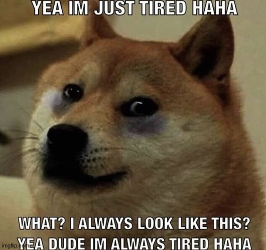this is a mood im tired mentally and physically i wanna sleep really bad but i already slept for 12 hours yesterday | made w/ Imgflip meme maker