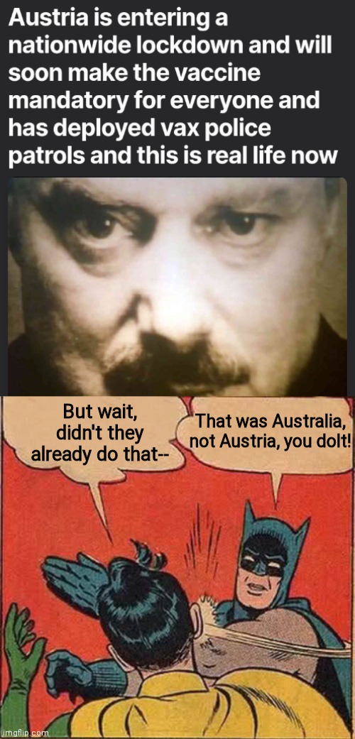 It doesn't help that a straight-up COMMUNIST was elected mayor of Austria's second largest city. | That was Australia, not Austria, you dolt! But wait, didn't they already do that-- | image tagged in batman slapping robin,austria,australia,covid-19,fascism | made w/ Imgflip meme maker