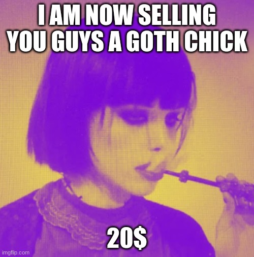 20$ and you won't be a political incel anymore | I AM NOW SELLING YOU GUYS A GOTH CHICK; 20$ | made w/ Imgflip meme maker