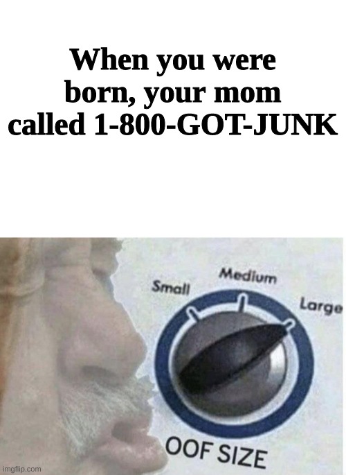 B) | When you were born, your mom called 1-800-GOT-JUNK | image tagged in oof size large,burn | made w/ Imgflip meme maker