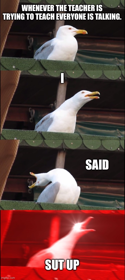 Inhaling Seagull | WHENEVER THE TEACHER IS TRYING TO TEACH EVERYONE IS TALKING. I; SAID; SUT UP | image tagged in memes,inhaling seagull | made w/ Imgflip meme maker