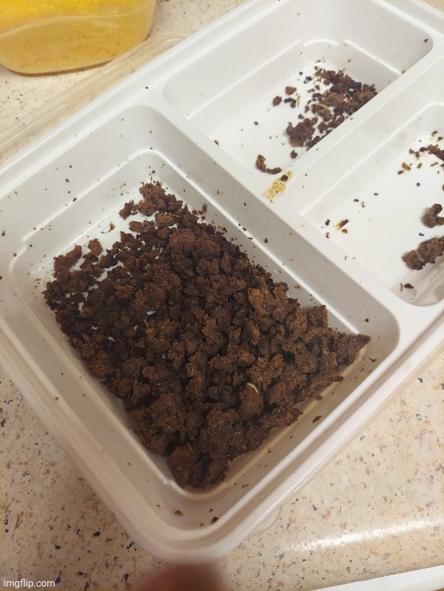 It's deer meat. Dig in | made w/ Imgflip meme maker