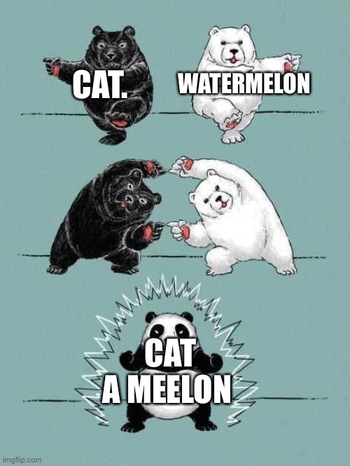 2 Bears Equal To Panda | CAT. WATERMELON CAT A MEELON | image tagged in 2 bears equal to panda | made w/ Imgflip meme maker