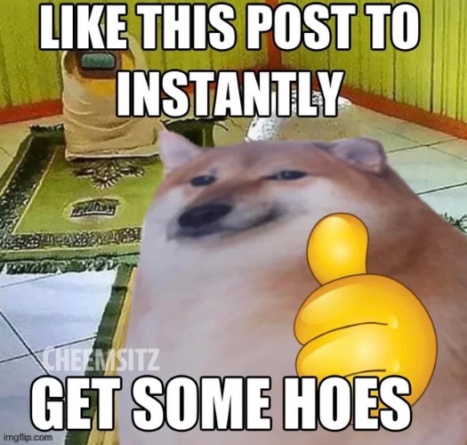 COME TO ME MY SIMPS AND HOES | made w/ Imgflip meme maker