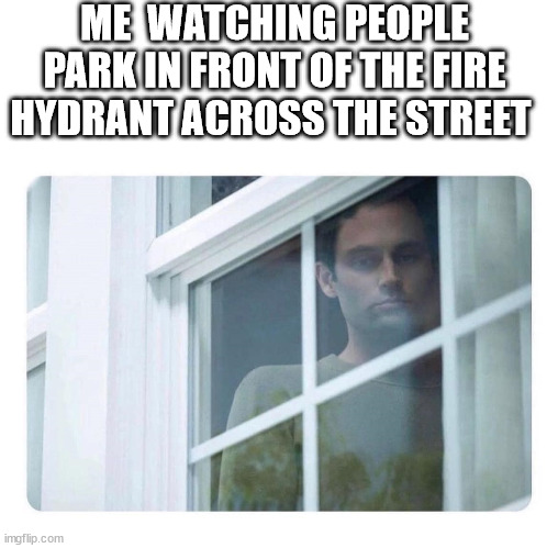 Dad Memes | ME  WATCHING PEOPLE PARK IN FRONT OF THE FIRE HYDRANT ACROSS THE STREET | image tagged in dad joke,memes,orillia | made w/ Imgflip meme maker