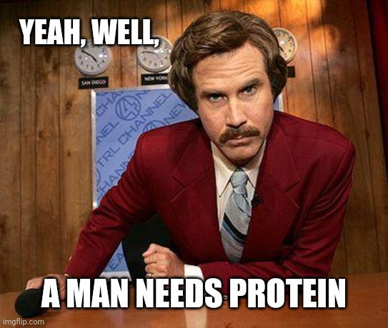 ron burgundy | YEAH, WELL, A MAN NEEDS PROTEIN | image tagged in ron burgundy | made w/ Imgflip meme maker