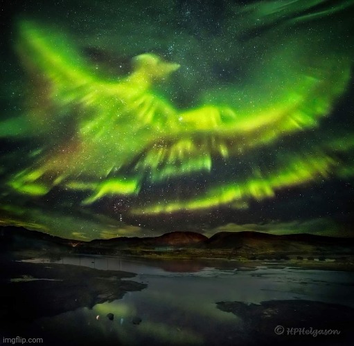 Aurora Phoenix | image tagged in aurora,phoenix,awesome,photography | made w/ Imgflip meme maker