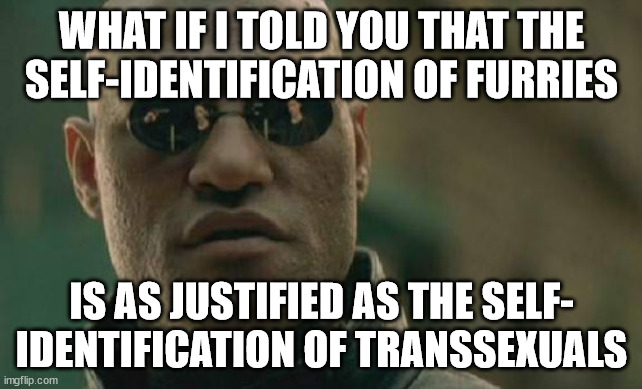 As soon as medical technology allows, human-vulpine chimeras will be as much a reality as women with prostates and Y-chromosomes | WHAT IF I TOLD YOU THAT THE SELF-IDENTIFICATION OF FURRIES; IS AS JUSTIFIED AS THE SELF-
IDENTIFICATION OF TRANSSEXUALS | image tagged in memes,matrix morpheus | made w/ Imgflip meme maker