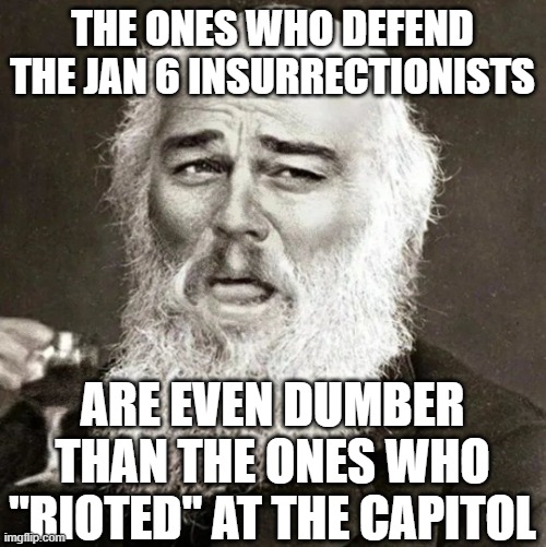 Sheep gotta baaaaaaaahhh! | THE ONES WHO DEFEND THE JAN 6 INSURRECTIONISTS; ARE EVEN DUMBER THAN THE ONES WHO "RIOTED" AT THE CAPITOL | image tagged in laughing leonardo di caprio | made w/ Imgflip meme maker