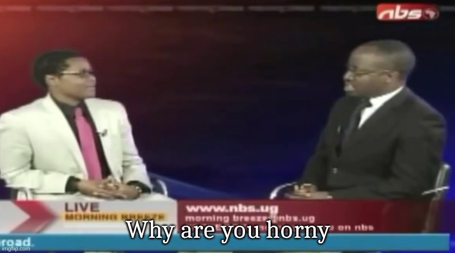 Why are you Gay? | Why are you horny | image tagged in why are you gay | made w/ Imgflip meme maker