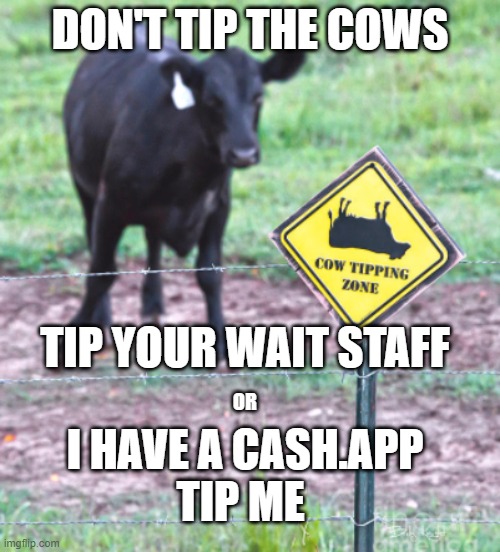 tip your wait staff or me | DON'T TIP THE COWS; TIP YOUR WAIT STAFF; OR; I HAVE A CASH.APP
TIP ME | image tagged in cow tipping zone | made w/ Imgflip meme maker