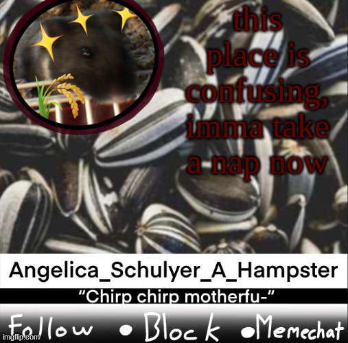 Angelica_Schulyer_A_Hampster's temp | this place is confusing, imma take a nap now | image tagged in angelica_schulyer_a_hampster's temp | made w/ Imgflip meme maker