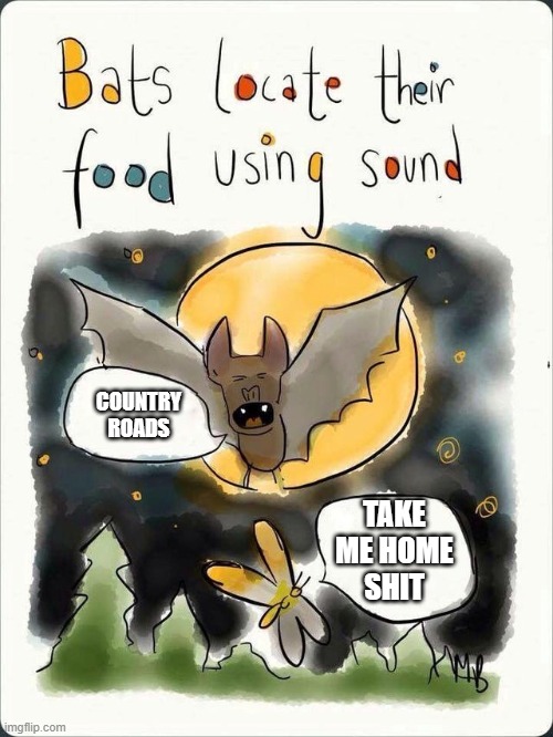 Bats locate their food using sound | COUNTRY ROADS; TAKE ME HOME
SHIT | image tagged in bats locate their food using sound | made w/ Imgflip meme maker