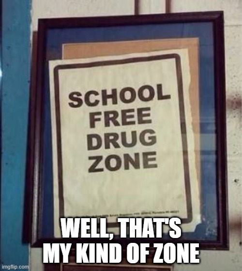 Logic | WELL, THAT'S MY KIND OF ZONE | image tagged in you had one job | made w/ Imgflip meme maker