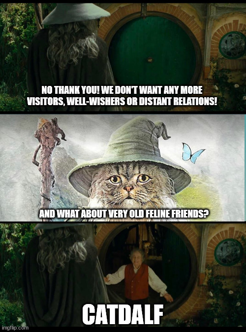 Catdalf | NO THANK YOU! WE DON'T WANT ANY MORE VISITORS, WELL-WISHERS OR DISTANT RELATIONS! AND WHAT ABOUT VERY OLD FELINE FRIENDS? CATDALF | image tagged in gandalf bilbo,gandalf cat | made w/ Imgflip meme maker