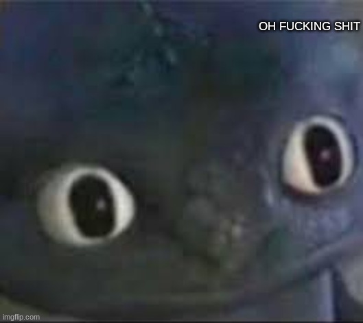Toothless ._. face | OH FUCKING SHIT | image tagged in toothless _ face | made w/ Imgflip meme maker