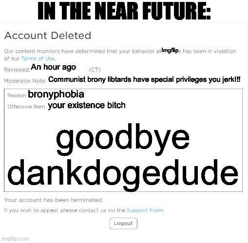 the mods are threatening to delete my account | IN THE NEAR FUTURE:; Imgflip; An hour ago; Communist brony libtards have special privileges you jerk!!! bronyphobia; your existence bitch; goodbye dankdogedude | image tagged in banned from roblox 2021 edition,politics,oh wow are you actually reading these tags | made w/ Imgflip meme maker