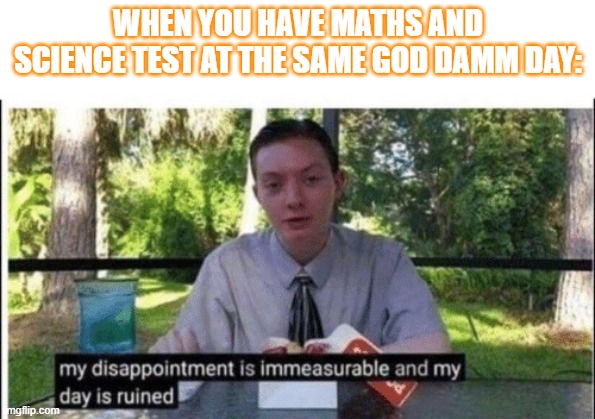 My dissapointment is immeasurable and my day is ruined | WHEN YOU HAVE MATHS AND SCIENCE TEST AT THE SAME GOD DAMM DAY: | image tagged in my dissapointment is immeasurable and my day is ruined,exams | made w/ Imgflip meme maker