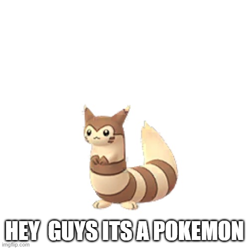 Here, another pokemon | HEY  GUYS ITS A POKEMON | image tagged in pokemon go furret | made w/ Imgflip meme maker