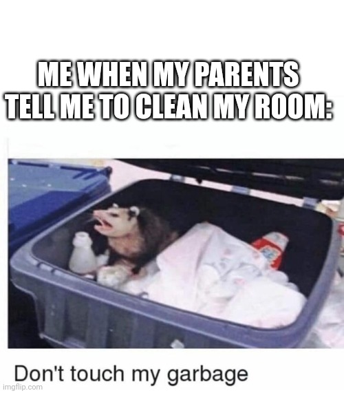 Don't touch my garbage | ME WHEN MY PARENTS TELL ME TO CLEAN MY ROOM: | image tagged in don't touch my garbage | made w/ Imgflip meme maker