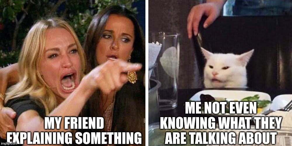 Smudge the cat | MY FRIEND EXPLAINING SOMETHING; ME NOT EVEN KNOWING WHAT THEY ARE TALKING ABOUT | image tagged in smudge the cat | made w/ Imgflip meme maker