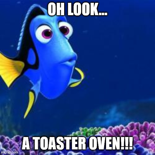 I don't even know XD | OH LOOK... A TOASTER OVEN!!! | image tagged in oh look | made w/ Imgflip meme maker