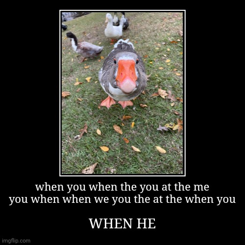 image tagged in funny,demotivationals | made w/ Imgflip demotivational maker