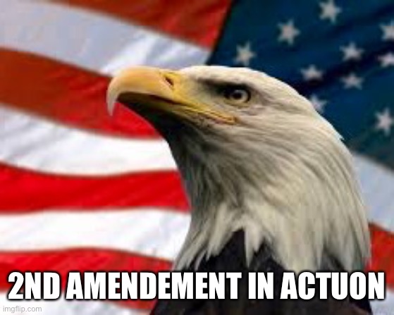 Murica Patriotic Eagle | 2ND AMENDEMENT IN ACTION | image tagged in murica patriotic eagle | made w/ Imgflip meme maker
