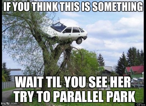 Memories of Christmas shopping | IF YOU THINK THIS IS SOMETHING WAIT TIL YOU SEE HER TRY TO PARALLEL PARK | image tagged in memes,secure parking | made w/ Imgflip meme maker