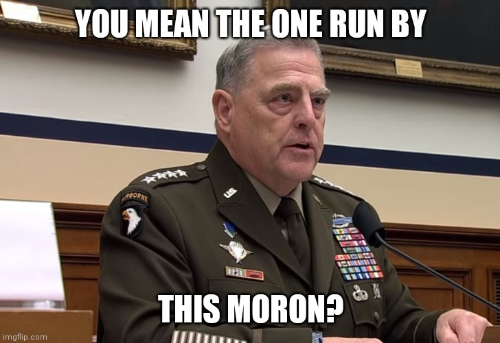 General Mark Milley | YOU MEAN THE ONE RUN BY THIS MORON? | image tagged in general mark milley | made w/ Imgflip meme maker