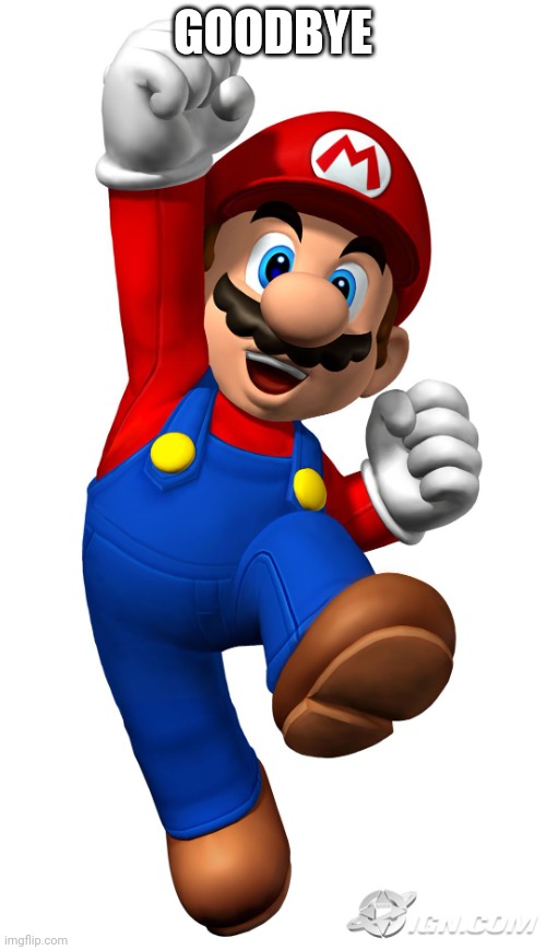 Super Mario | GOODBYE | image tagged in super mario | made w/ Imgflip meme maker