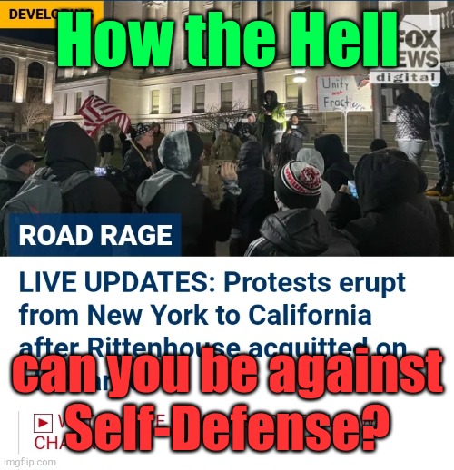 How dare you DEFEND yourself ! | How the Hell; can you be against
Self-Defense? | image tagged in how dare you defend yourself | made w/ Imgflip meme maker