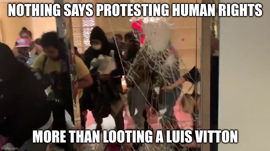 Das Racist? | NOTHING SAYS PROTESTING HUMAN RIGHTS; MORE THAN LOOTING A LUIS VITTON | image tagged in racism,joe biden,blm,antifa | made w/ Imgflip meme maker