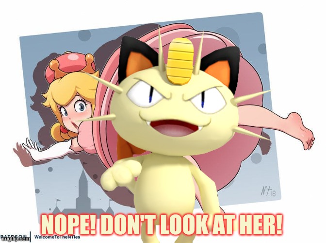 SEEL!!” 😭😭 #pokemon #meowth #seel #sus #fyp