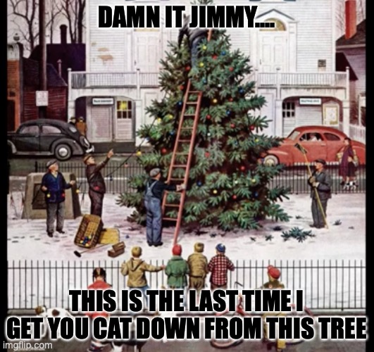 cat in tree | DAMN IT JIMMY.... THIS IS THE LAST TIME I GET YOU CAT DOWN FROM THIS TREE | image tagged in tree,cat | made w/ Imgflip meme maker