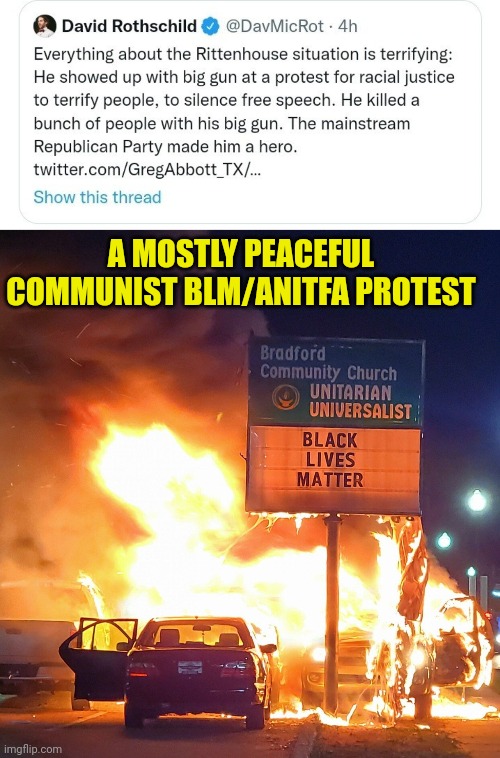 rothschild pos | A MOSTLY PEACEFUL COMMUNIST BLM/ANITFA PROTEST | image tagged in protest,riots,blm,antifa,terrorist | made w/ Imgflip meme maker