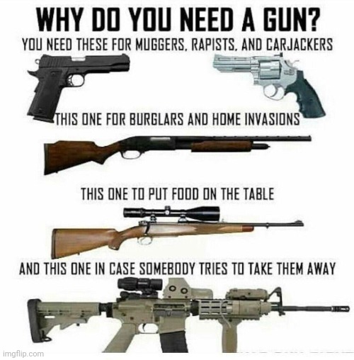 (Not Mine) but true | image tagged in guns,2nd amendment,constitution,freedom,liberty | made w/ Imgflip meme maker