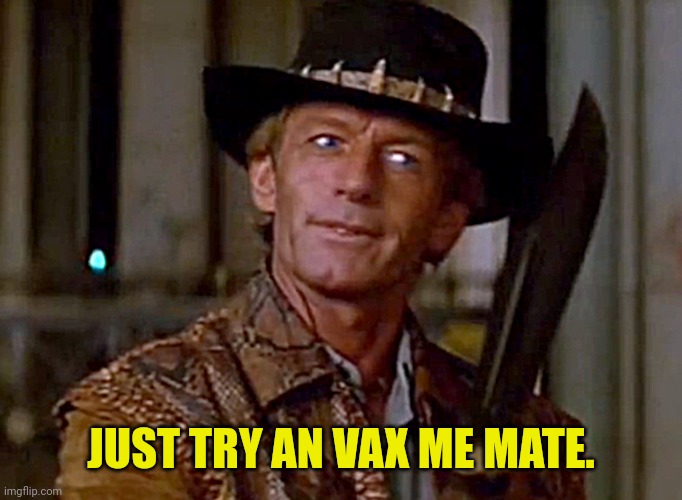 Crocodile Dundee Knife | JUST TRY AN VAX ME MATE. | image tagged in crocodile dundee knife | made w/ Imgflip meme maker
