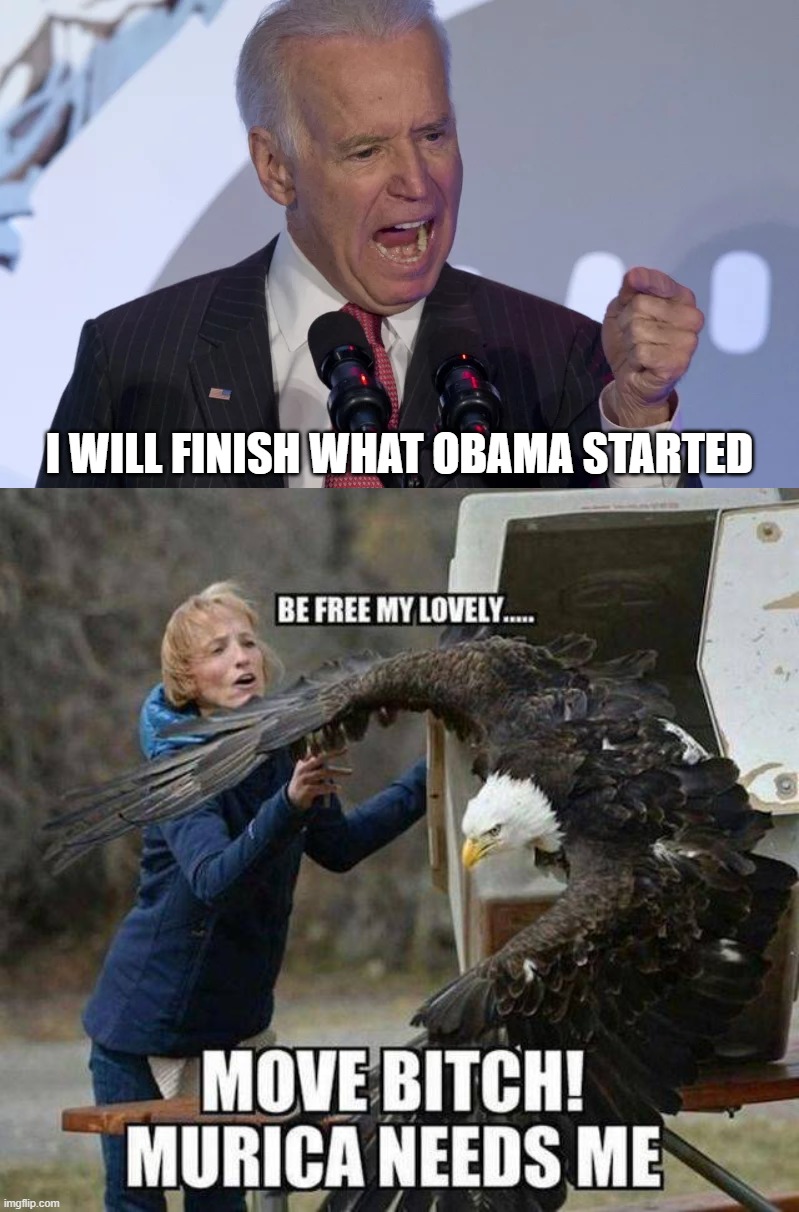 I WILL FINISH WHAT OBAMA STARTED | image tagged in joe biden,political meme | made w/ Imgflip meme maker