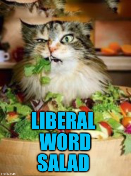 LIBERAL 
WORD
SALAD | made w/ Imgflip meme maker