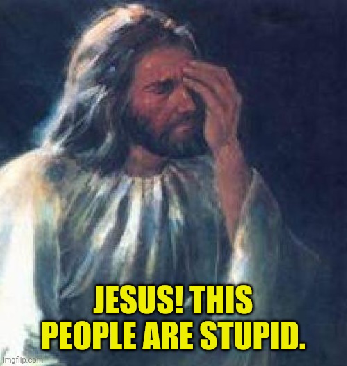 jesus facepalm | JESUS! THIS PEOPLE ARE STUPID. | image tagged in jesus facepalm | made w/ Imgflip meme maker