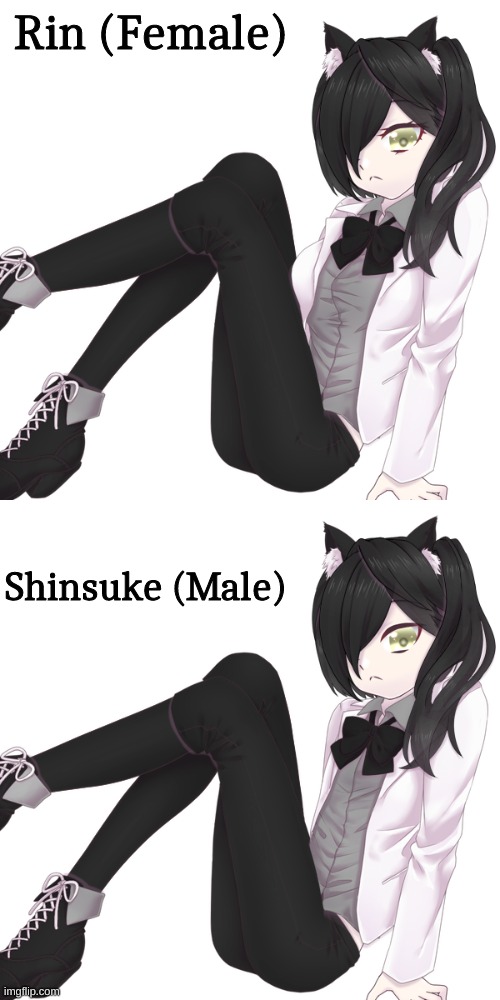 Rin (Female); Shinsuke (Male) | made w/ Imgflip meme maker