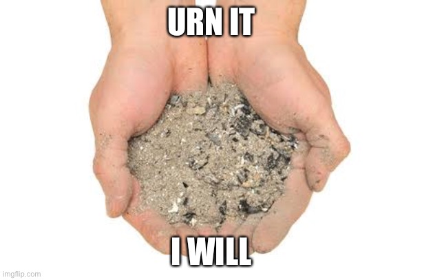 Urn | URN IT; I WILL | image tagged in cremation ashes,ashes,urn | made w/ Imgflip meme maker