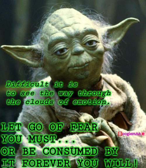 Master Yoda,  Dark side,  Fear | Difficult it is to see the way through the clouds of emotion. 🅱️oogiemAn🌺; LET GO OF FEAR YOU MUST...
OR BE CONSUMED BY IT FOREVER YOU WILL! | image tagged in memes,star wars yoda | made w/ Imgflip meme maker