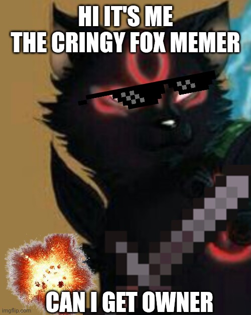  HI IT'S ME THE CRINGY FOX MEMER; CAN I GET OWNER | image tagged in fox | made w/ Imgflip meme maker
