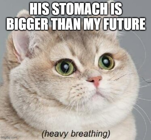 Heavy Breathing Cat Meme | HIS STOMACH IS BIGGER THAN MY FUTURE | image tagged in memes,heavy breathing cat | made w/ Imgflip meme maker