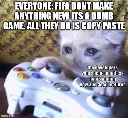 Sad gaming cat | EVERYONE: FIFA DONT MAKE ANYTHING NEW ITS A DUMB GAME. ALL THEY DO IS COPY PASTE; the developers who spent countless hours adding new and good features | image tagged in sad gaming cat | made w/ Imgflip meme maker